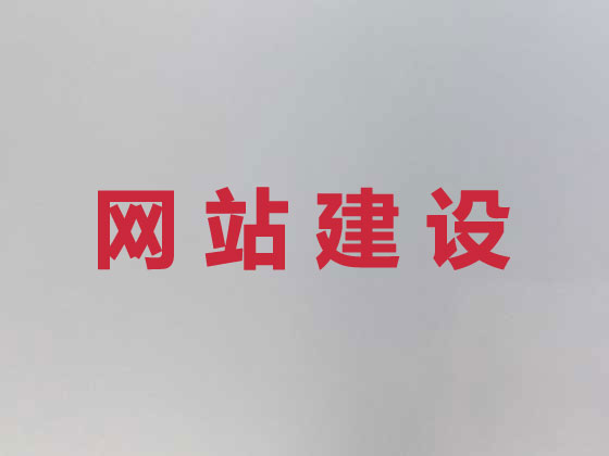 阜阳专业网站设计